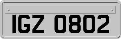 IGZ0802