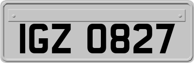 IGZ0827