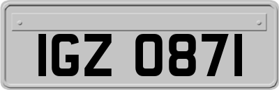 IGZ0871