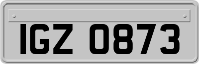 IGZ0873