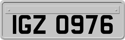 IGZ0976