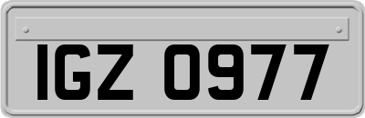 IGZ0977
