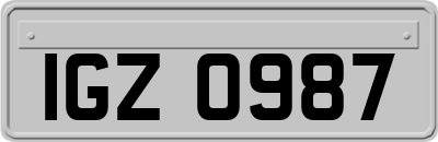 IGZ0987
