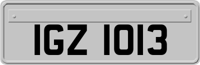 IGZ1013