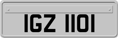 IGZ1101