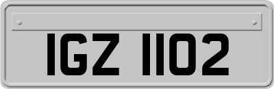 IGZ1102