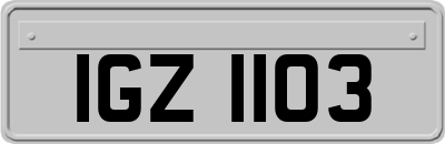 IGZ1103