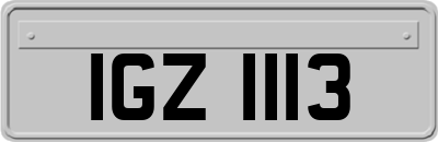 IGZ1113