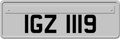 IGZ1119