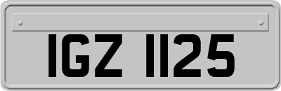IGZ1125