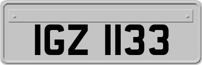 IGZ1133