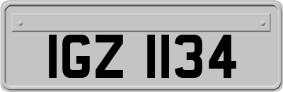 IGZ1134