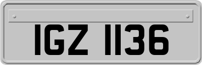 IGZ1136