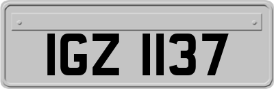 IGZ1137