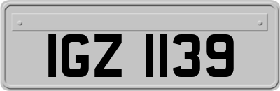 IGZ1139