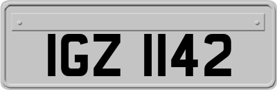 IGZ1142