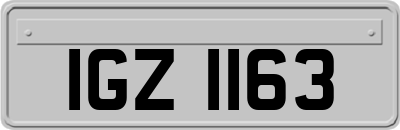 IGZ1163