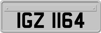IGZ1164