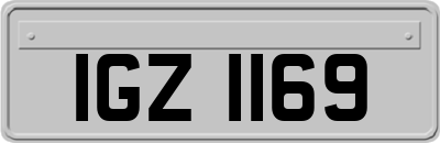 IGZ1169