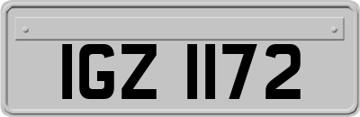 IGZ1172