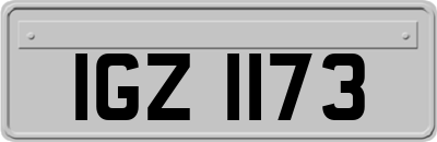 IGZ1173