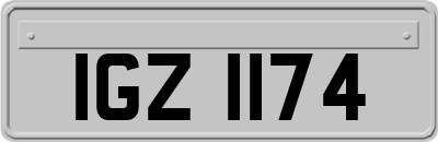 IGZ1174