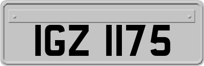 IGZ1175