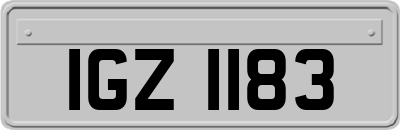 IGZ1183