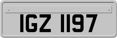 IGZ1197