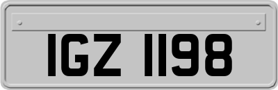 IGZ1198