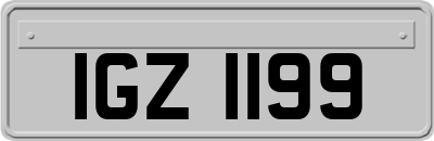 IGZ1199