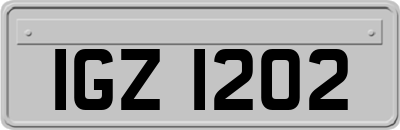 IGZ1202