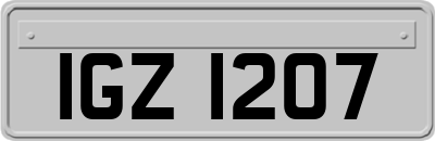 IGZ1207