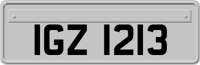 IGZ1213