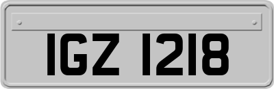 IGZ1218