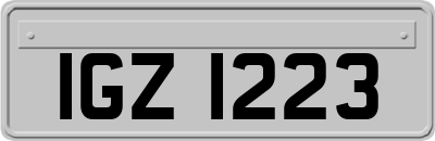 IGZ1223