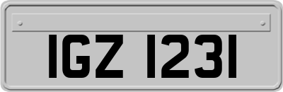 IGZ1231