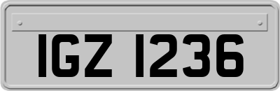 IGZ1236