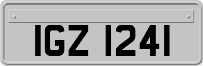 IGZ1241