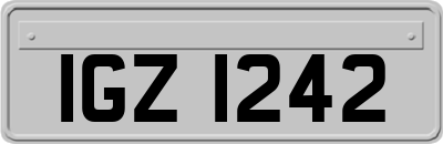 IGZ1242