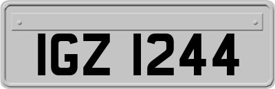 IGZ1244