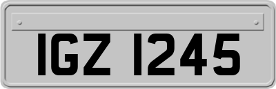 IGZ1245