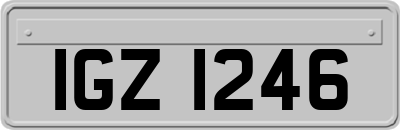 IGZ1246