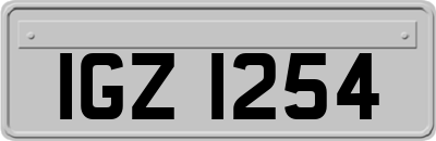 IGZ1254