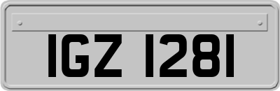 IGZ1281