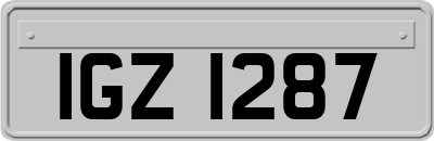 IGZ1287