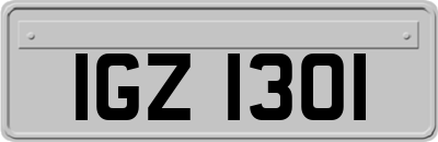 IGZ1301
