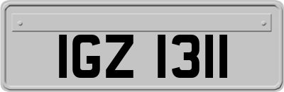 IGZ1311
