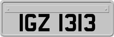IGZ1313