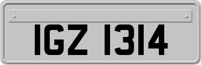 IGZ1314